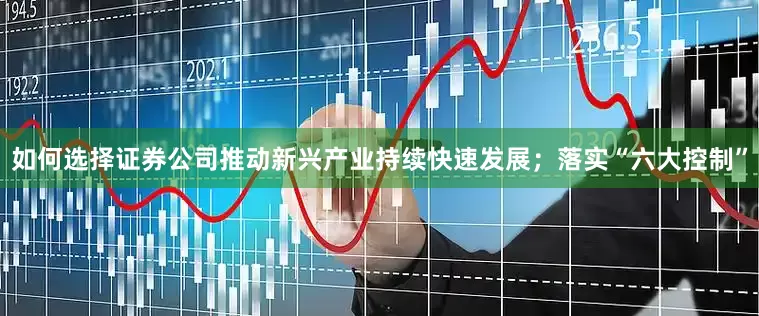 如何选择证券公司推动新兴产业持续快速发展；落实“六大控制”